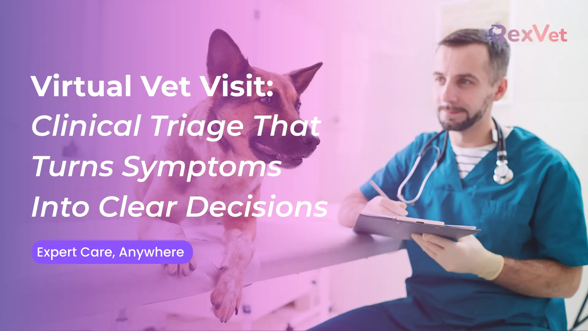 Virtual Vet Visit: What It Covers, What It Doesn’t, and When to Book