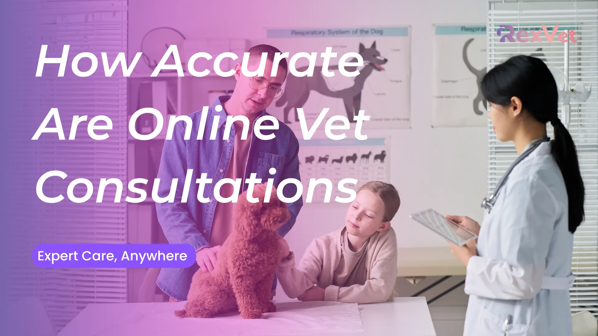 How Accurate Are Online Vet Consultations?