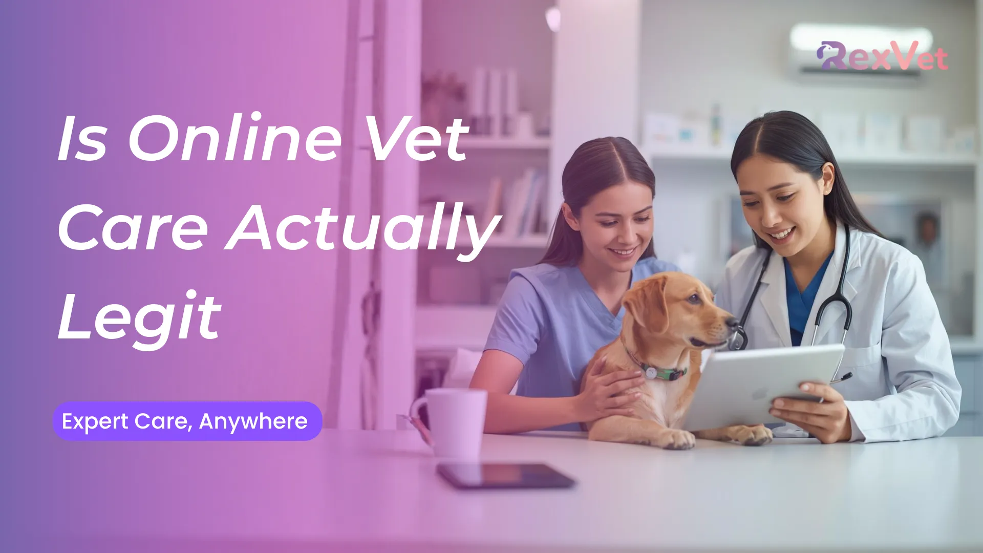 Is an Online Vet Legit? What Pet Owners Need to Know