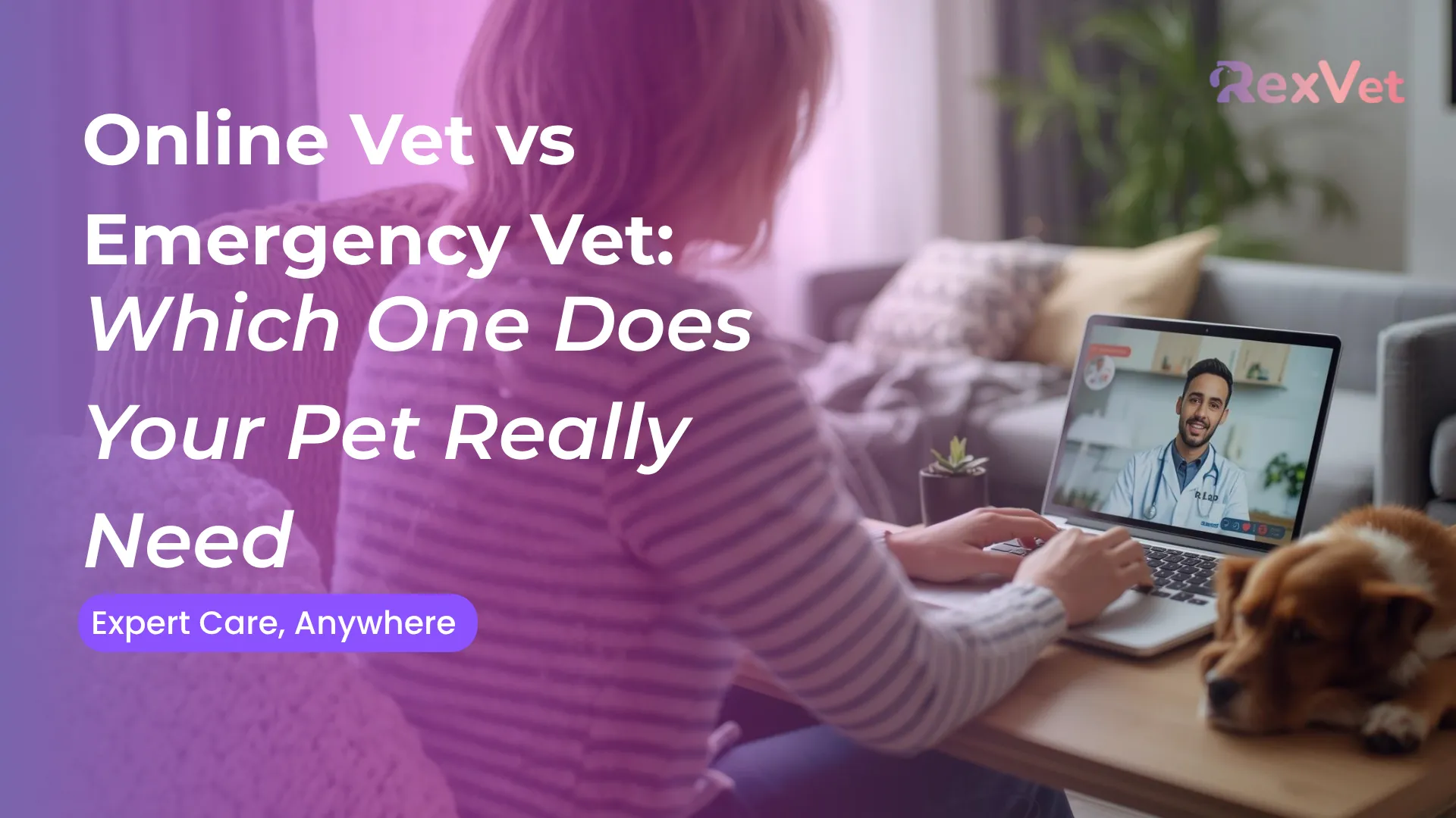 Online Vet vs Emergency Vet: When to Choose Each