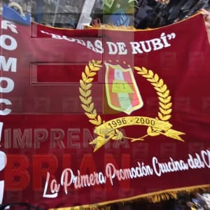 Banderolas Estampadas #187
