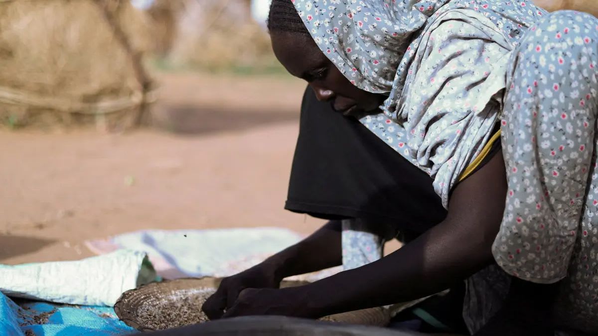 Drone Strike in Darfur Kills at Least 35 People