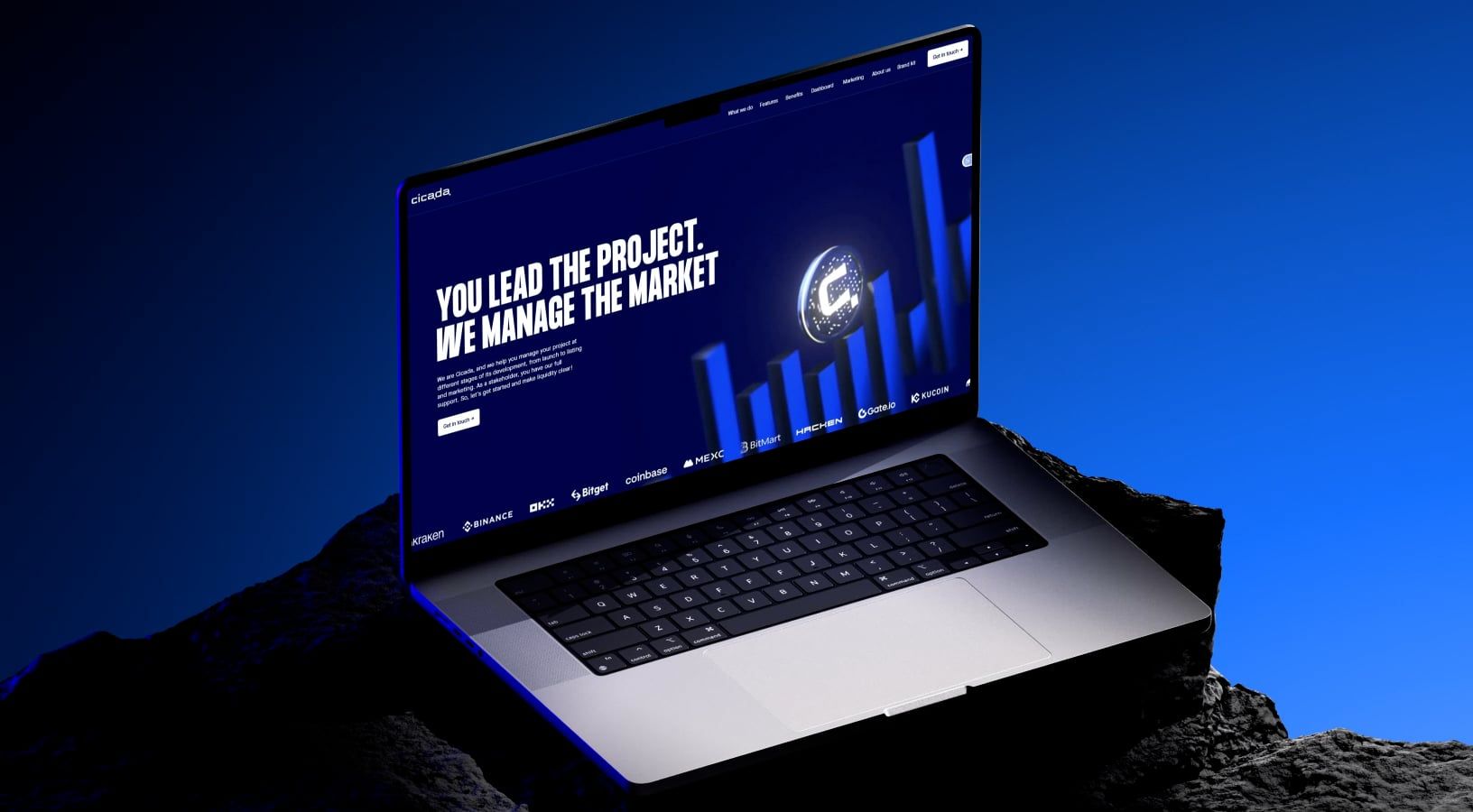 Homepage coin animation 