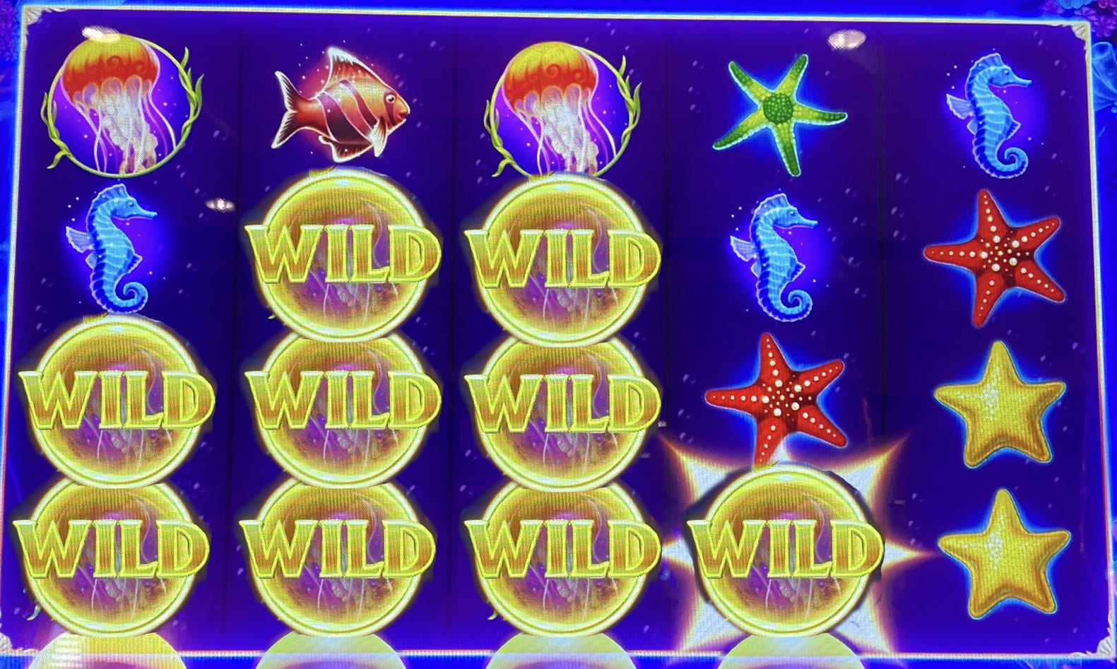 Ocean Magic Ultra slot machine