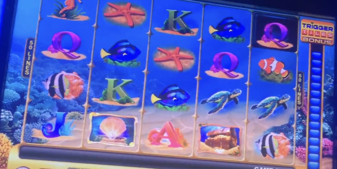 wild mermaid slot machine