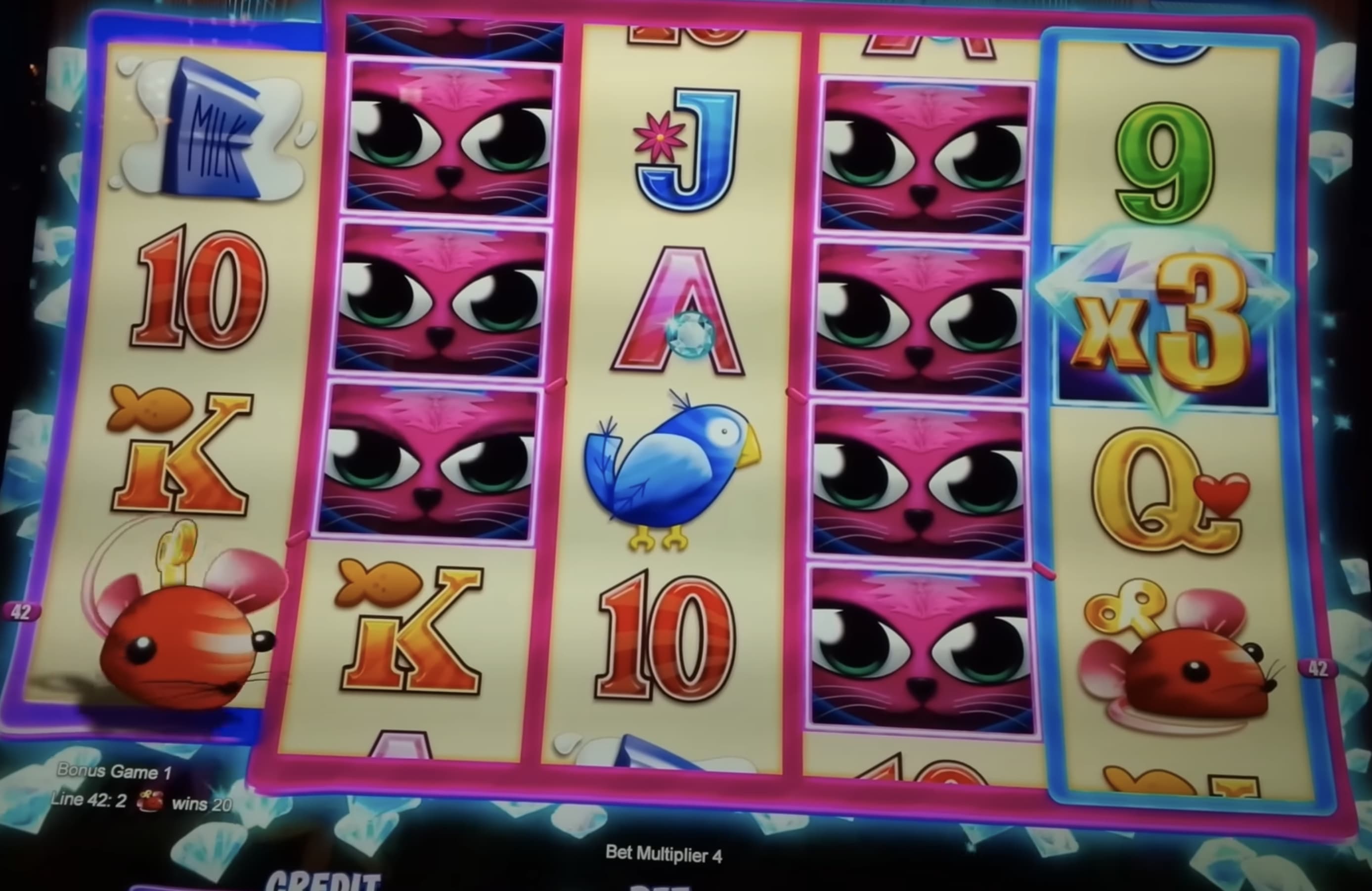 miss kitty wild ride slot machine