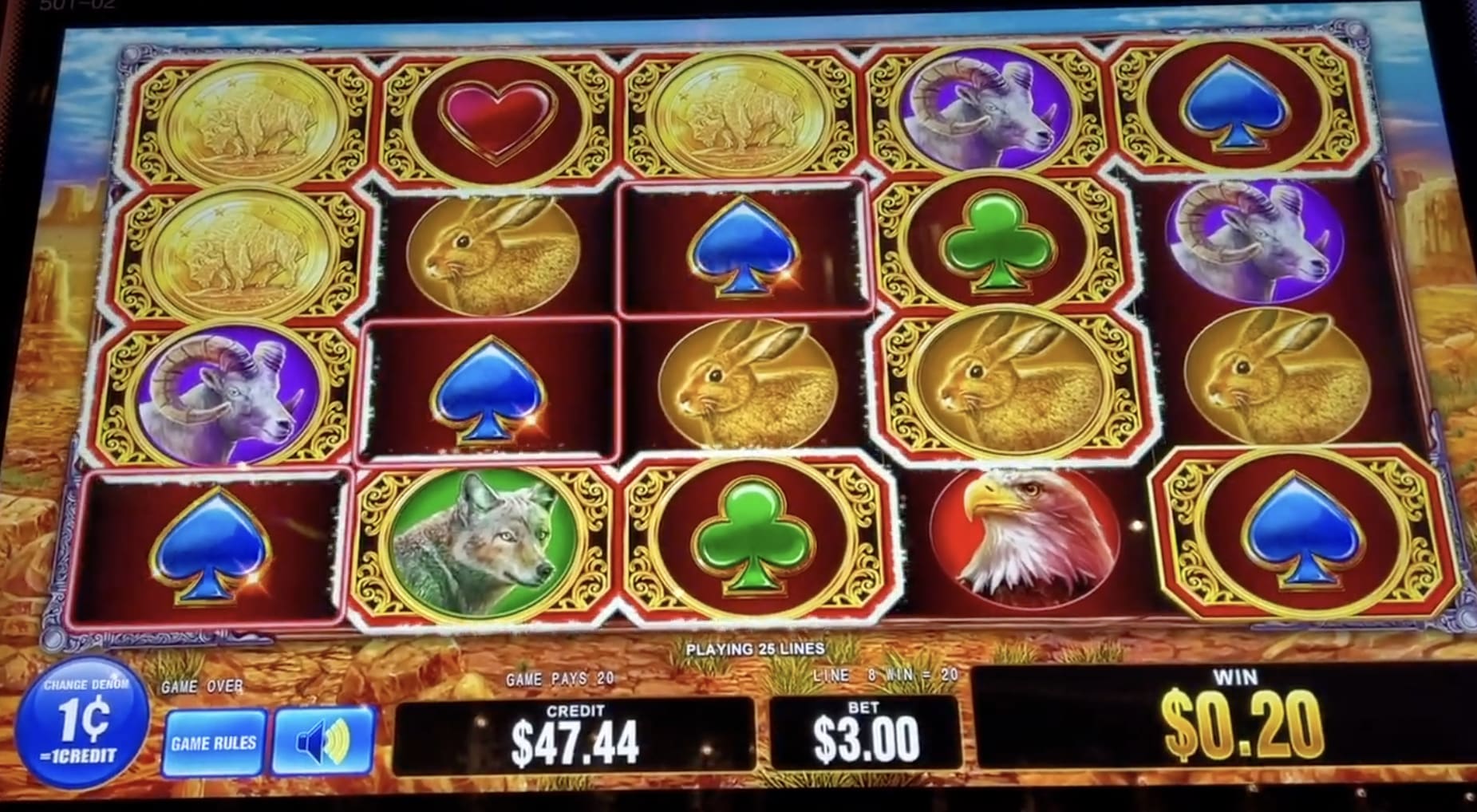 Wild Force: Bison Sunrise or Midnight Wolf slot machine