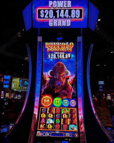 Buffalo Power Pay slot machine