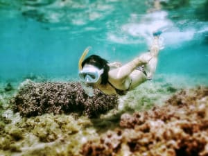 奄美AI-2｜家庭排水で海を守る青い循環