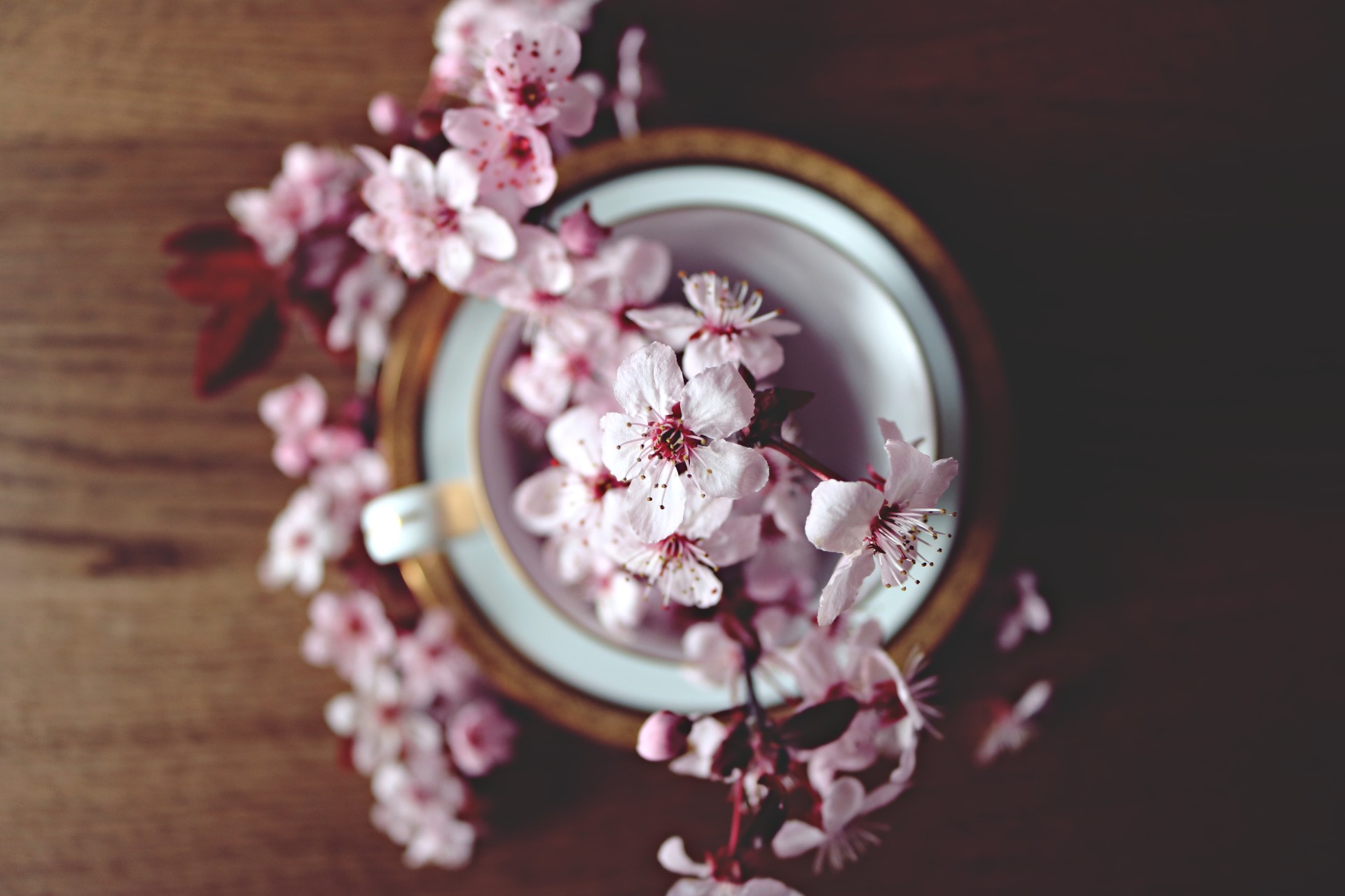 Natural Products
