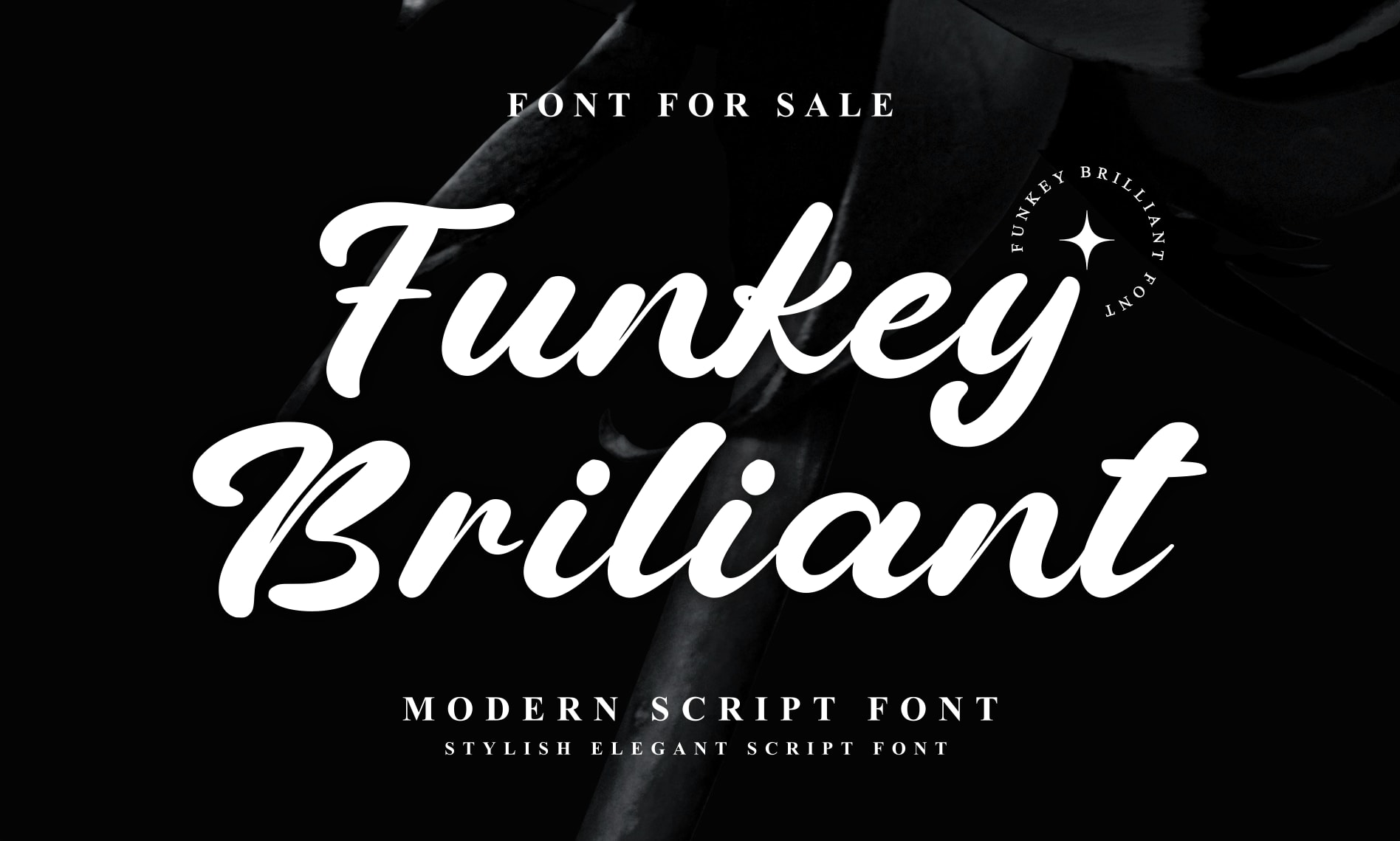 Funkey Brilliant