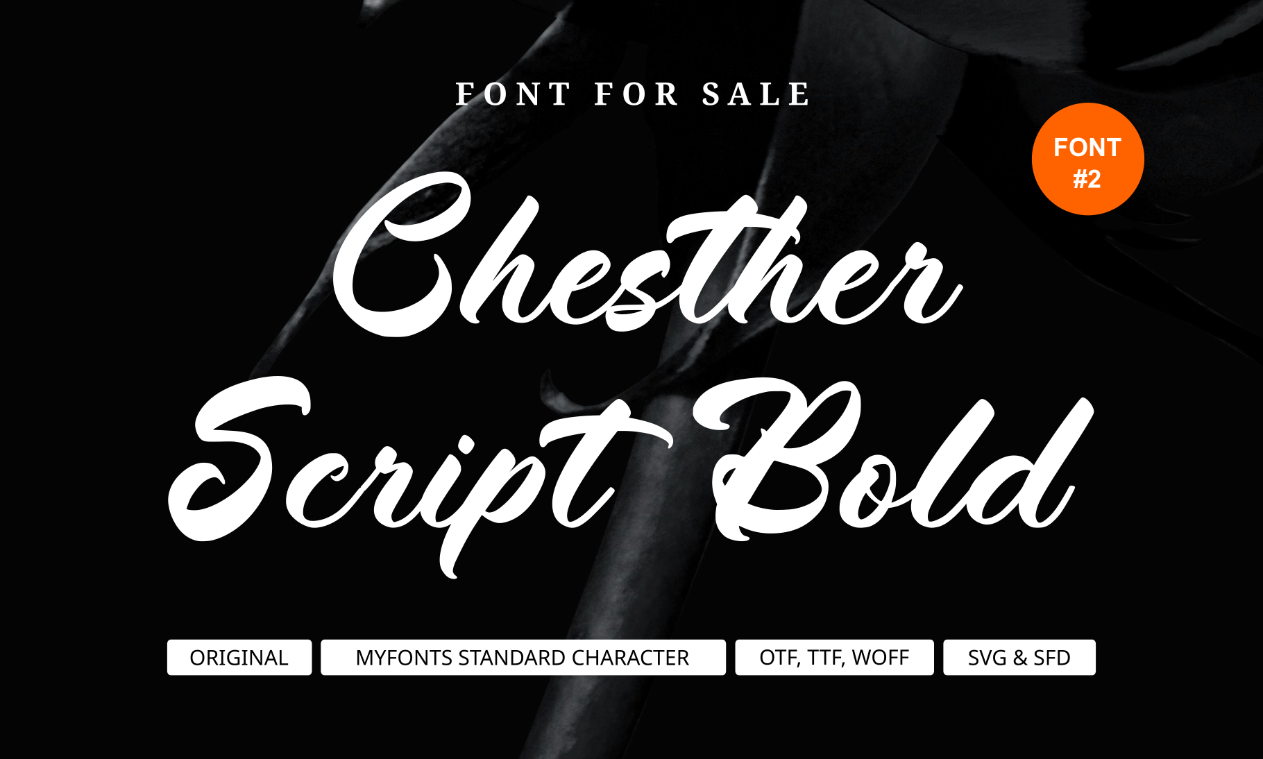 Chester Script