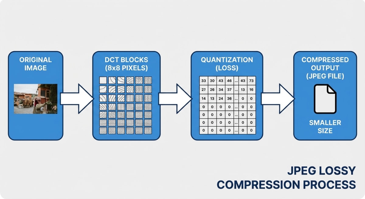 JPEG compression process showing DCT blocks and quantization