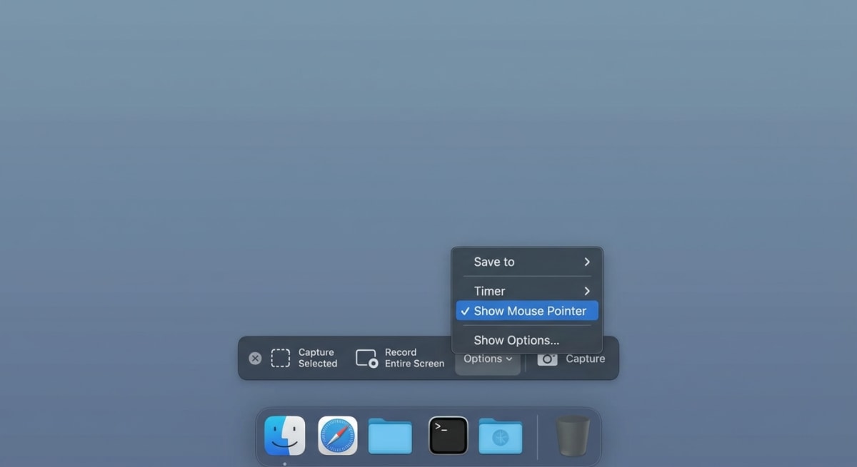 macOS Screenshot app Options menu with Show Mouse Pointer setting