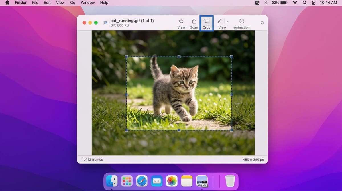 Crop a GIF on Mac using built-in and third-party tools