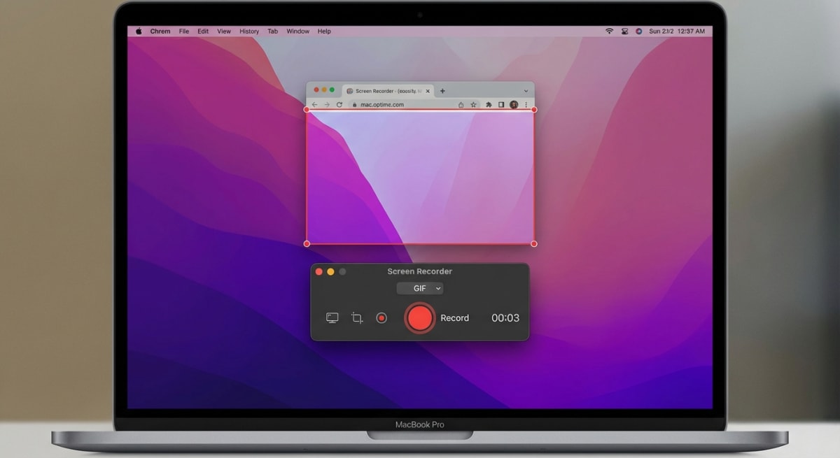Direct GIF recording with ScreenSnap Pro