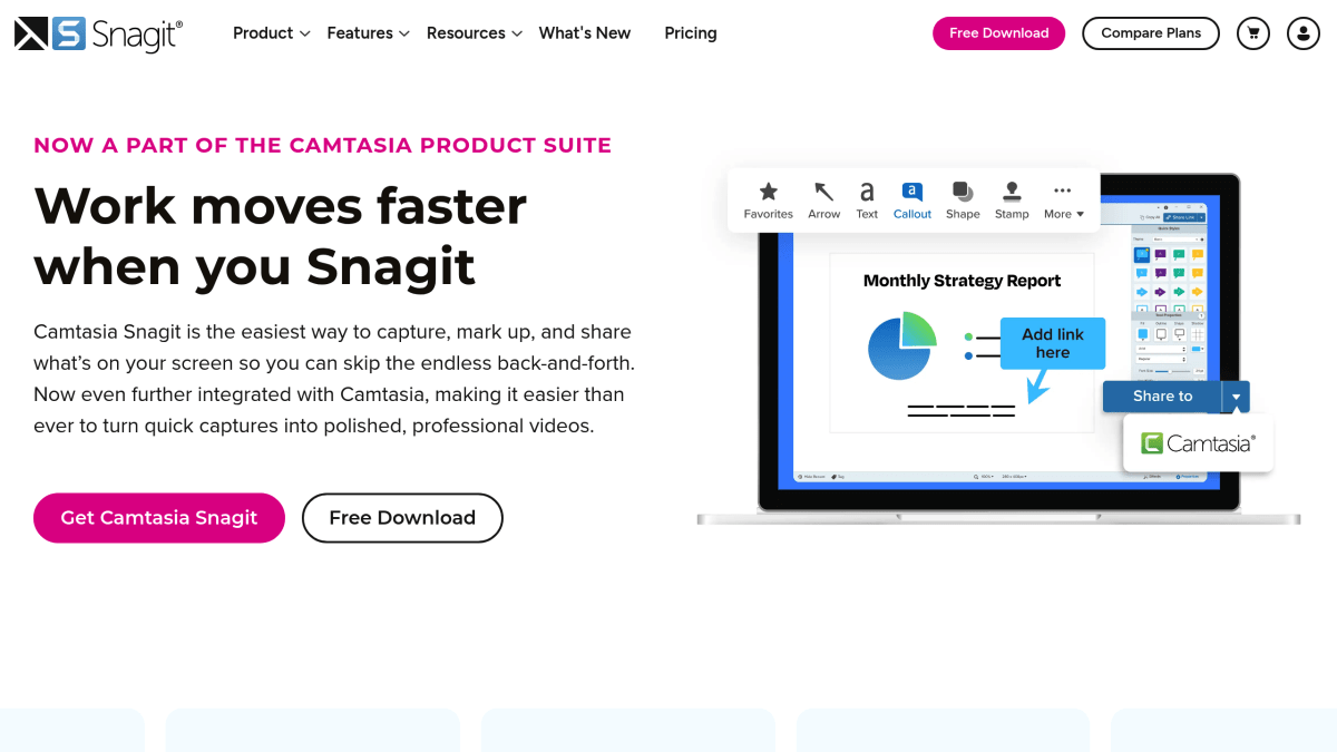Snagit interface