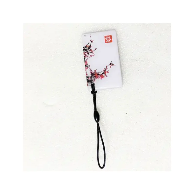 Smart RFID 13.56Mhz Token Key Card