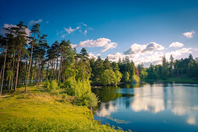 Diamond Pond