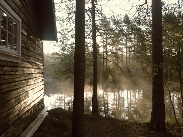 Forest Mule Camp