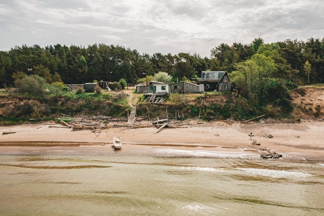 Forest Mule Camp