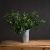 Pistachio Leaf Spray in Galvanised Tin
