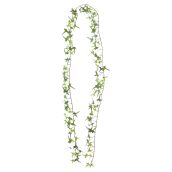 Trailing Ivy Botanical Garland