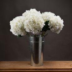 Oversized White Hydrangea Arrangement