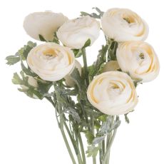 Cream Ranunculus Botanical Bouquet