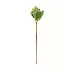 Sculptural Matte Green Protea Stem