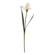 Pale Apricot Silk Iris Stem