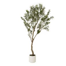 Apulia Sculptural Olive Tree in Matte White Planter