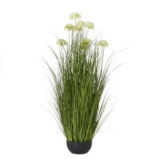 Nordic Wild Allium Grass Potted Arrangement