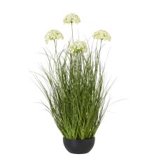 Sculptural Allium Grass Arrangement in Black Pot