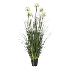 Tall White Agapanthus Grass Arrangement