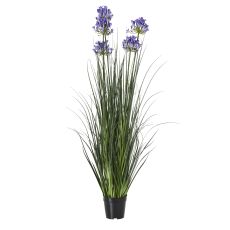 Tall Blue Agapanthus Grass Arrangement