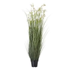 Meadow Grass and Wildflower Potted Arrangement