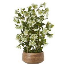 Earthen Hellebore Arrangement in Etched Taupe Pot