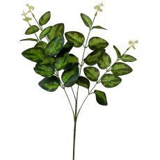 Variegated Eucalyptus Leaf Spray