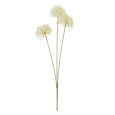 Cream Allium Trio Stem