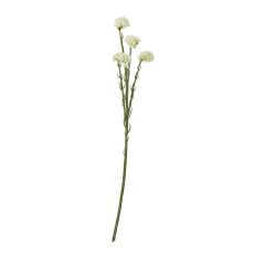 Cream Statice Petite Floral Stem