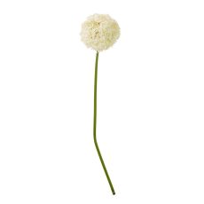 Ivory Globe Allium Decorative Stem