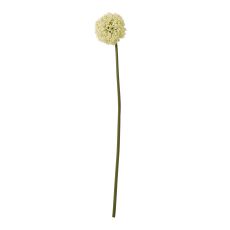 Cream Allium Globe Artificial Stem