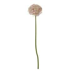 Ethereal Allium Sculptural Stem