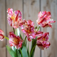 Ruffled Pink Parrot Tulip Faux Floral Stem