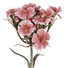 Blush Dianthus Silk Floral Stem