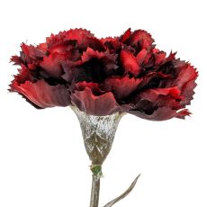 Velvet Burgundy Carnation Stem