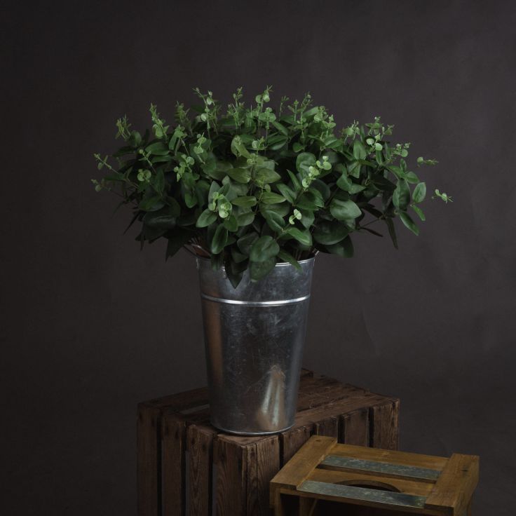 Deep green Cineraria Eucalyptus Spray from the Recipe Collection showcased in a contemporary hallway setting.