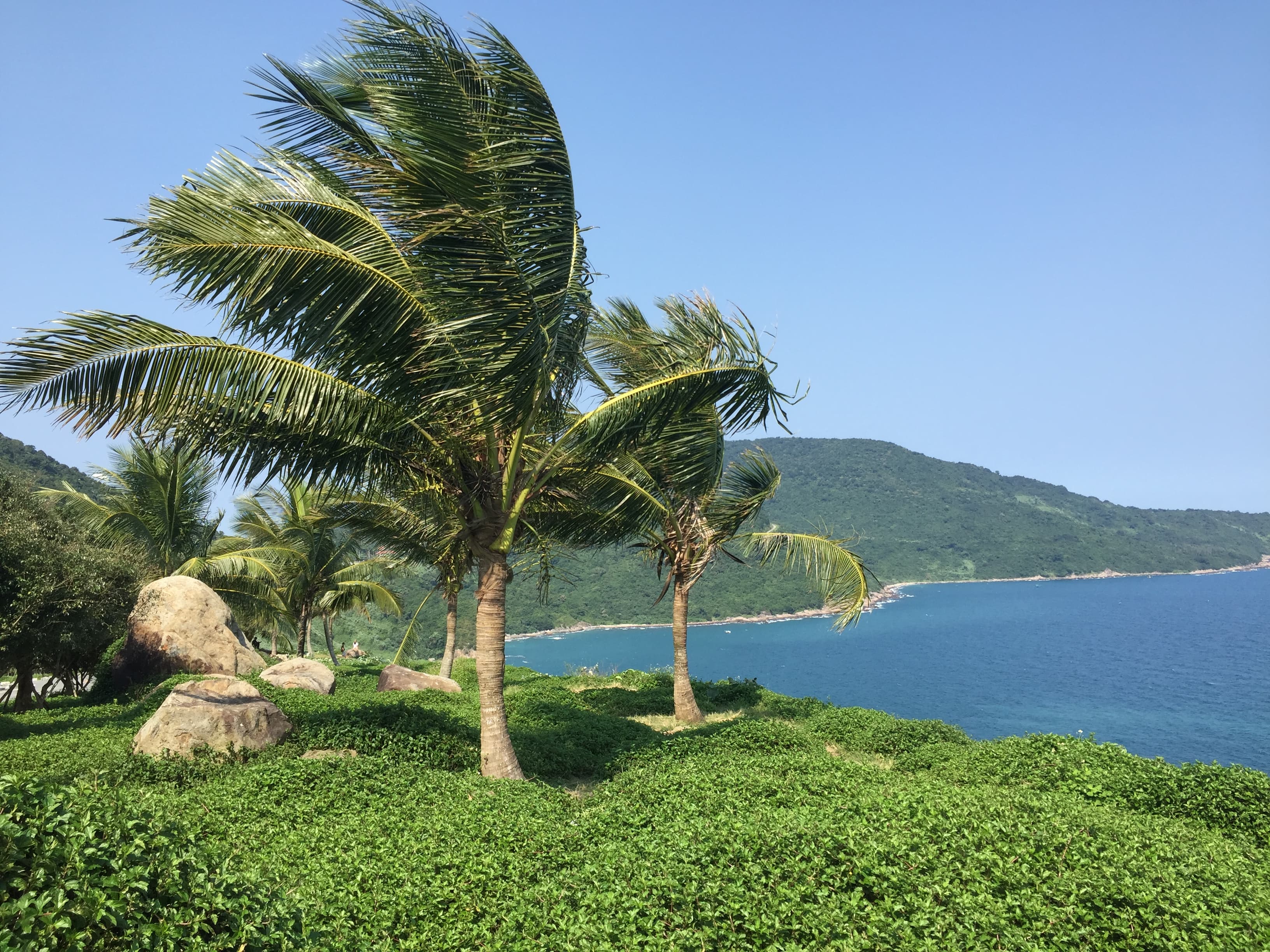 海外移住 ベトナムに移住したら日本の8億倍住みやすかった件 海外移住 ベトナムに移住したら日本の8億倍住みやすかった件