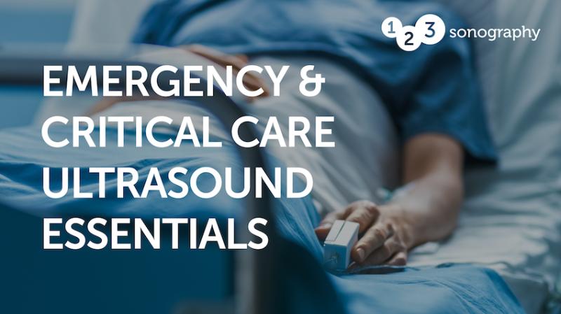 123sonography Emergency and Critical Care Ultrasound Essentials 2023 (Videos) cover